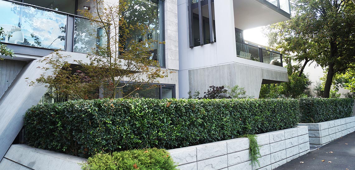 JM_gardenhouse3_MAR2015